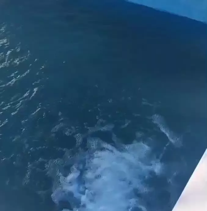 فروش باغ در رحمت آباد