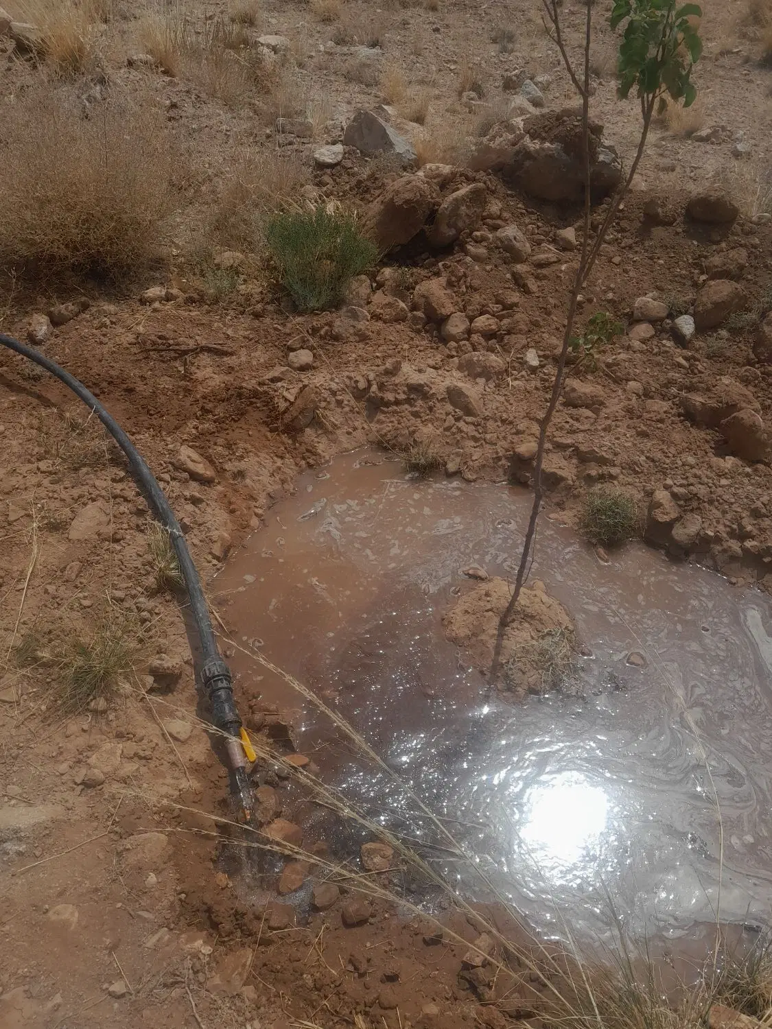 زمین کنج کوه چنار مهریز