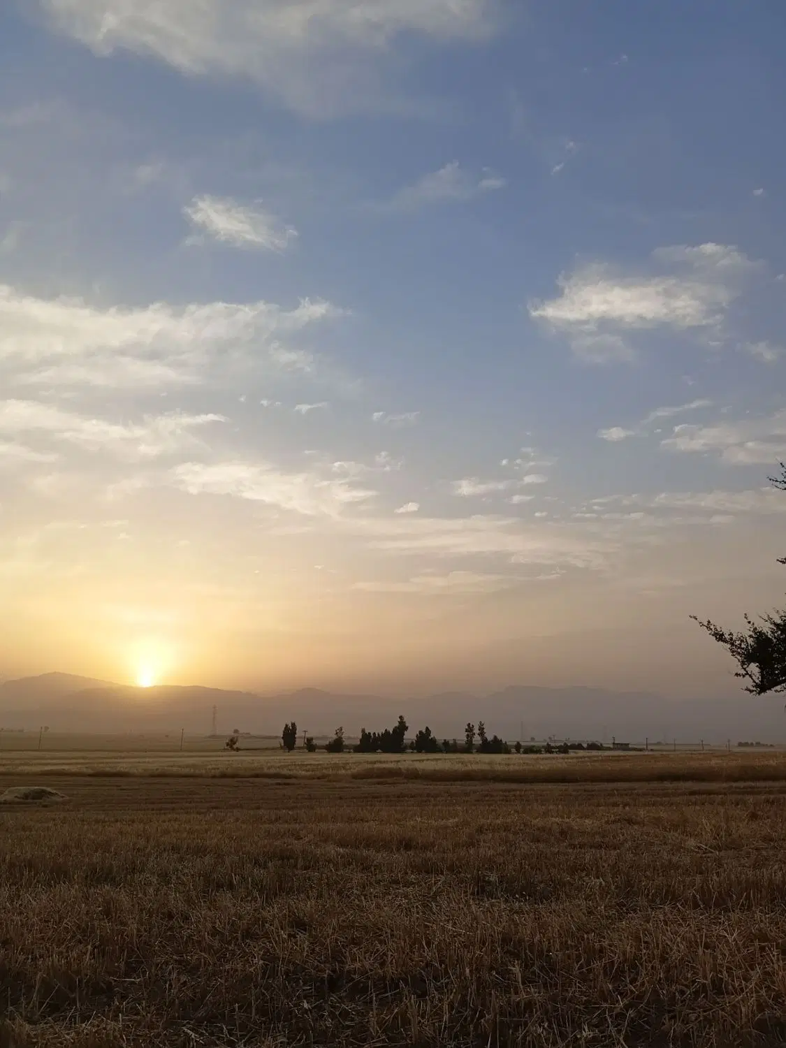 اجاره زمین کشاورزی