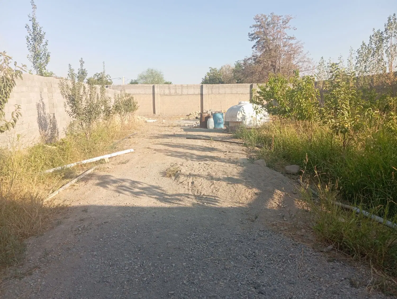 باغچه نیمه کاره گلسار
