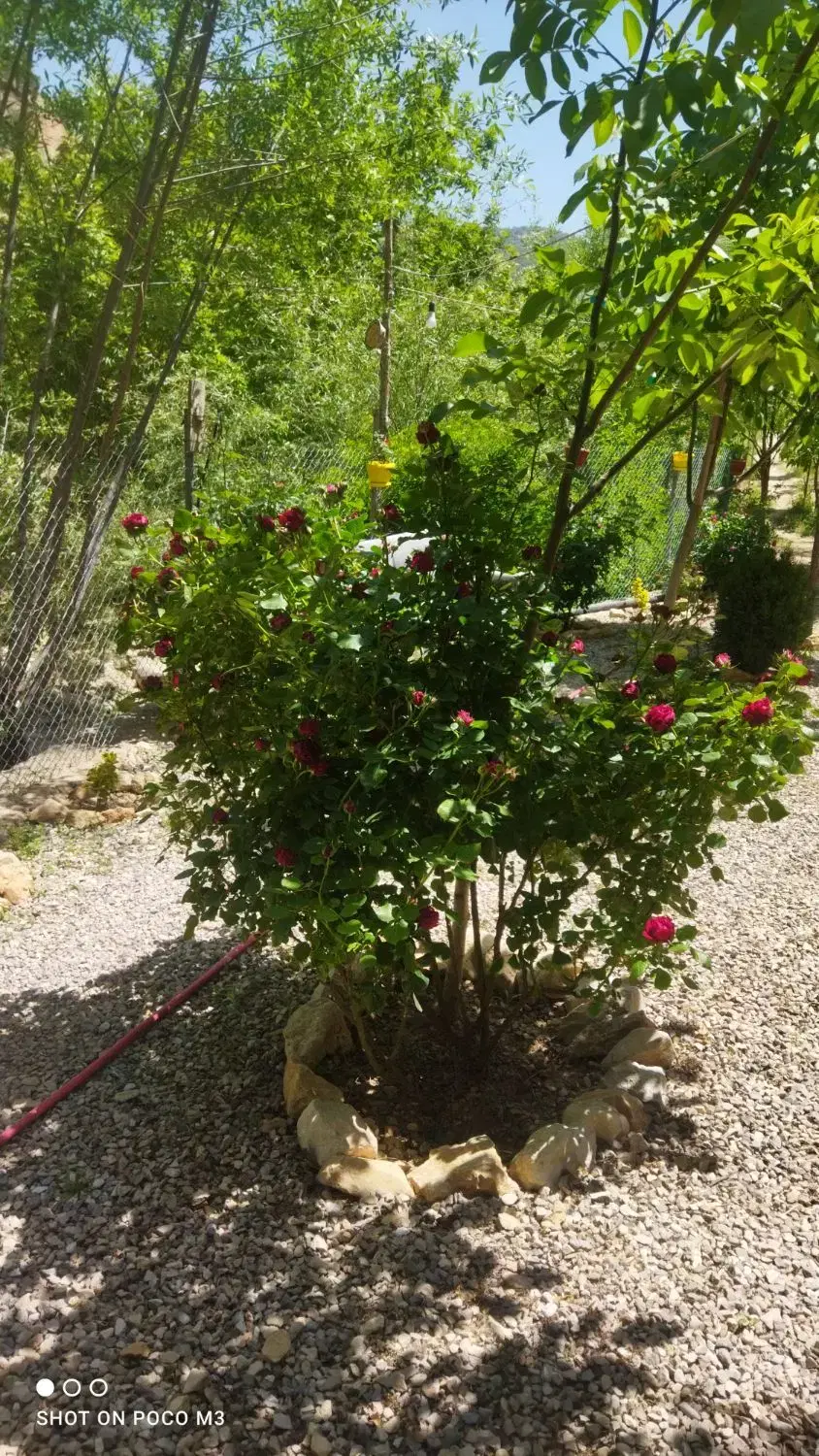زمین .باغ .ویلا