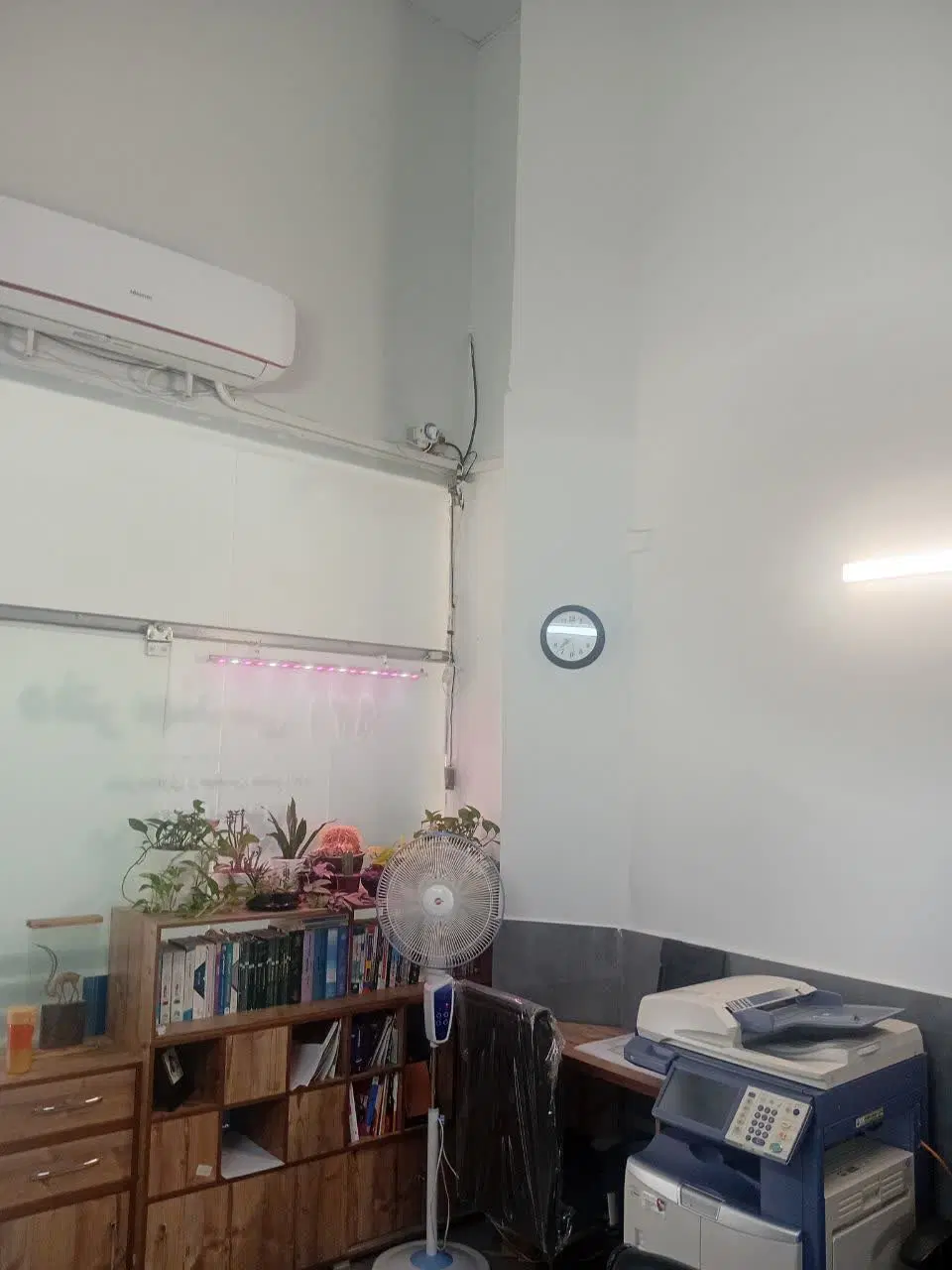 تجاری ۳۰ متری الهیه