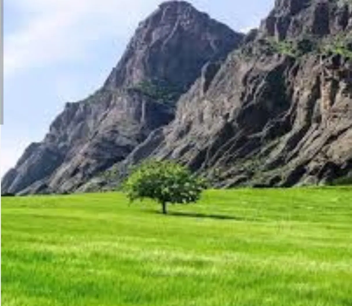 زمین جهت انبوه سازان