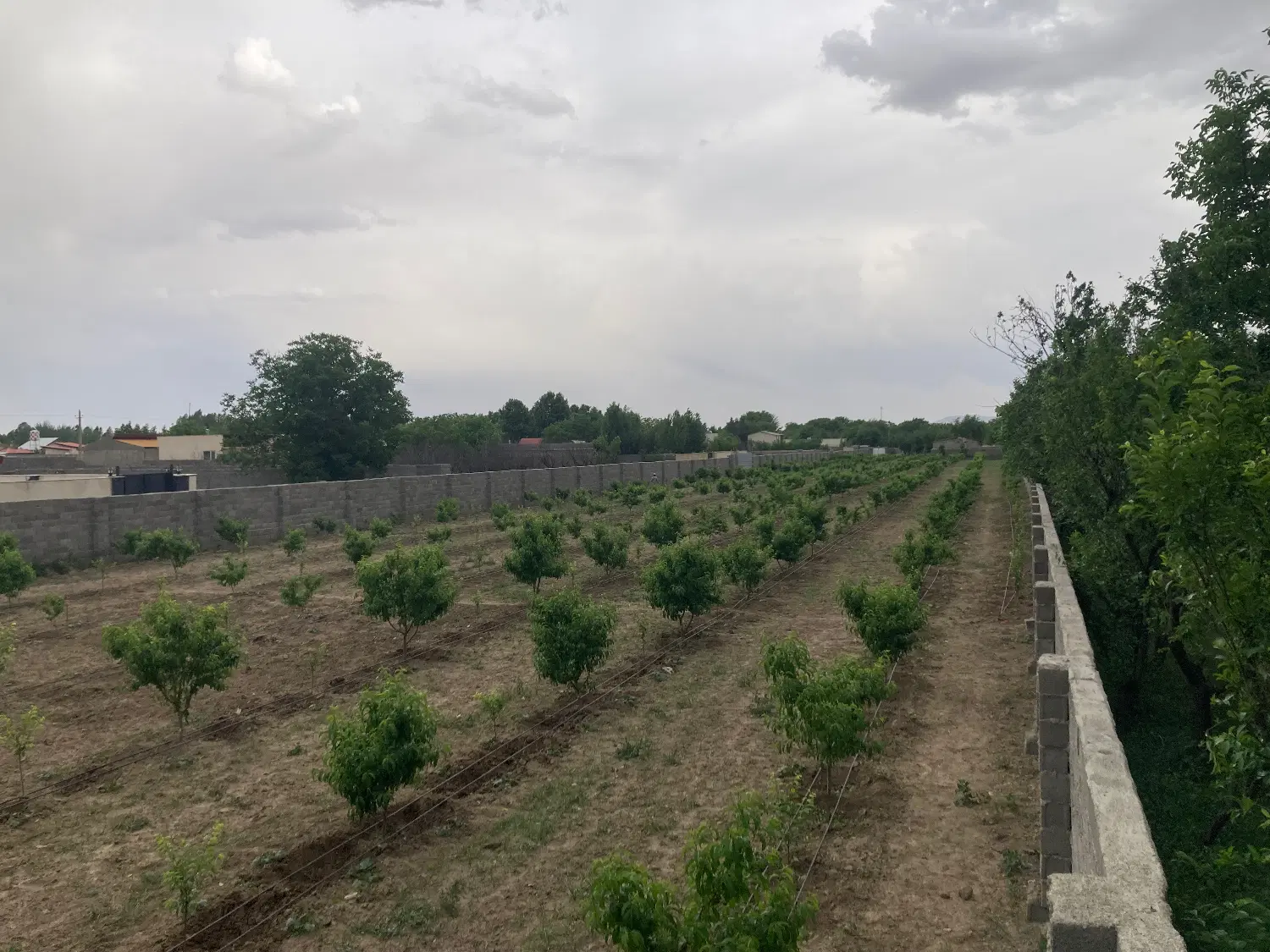 باغ و باغچه 4 هزار متری