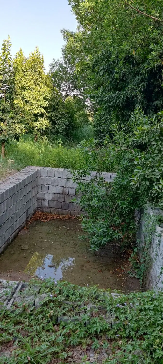 فروش باغچه