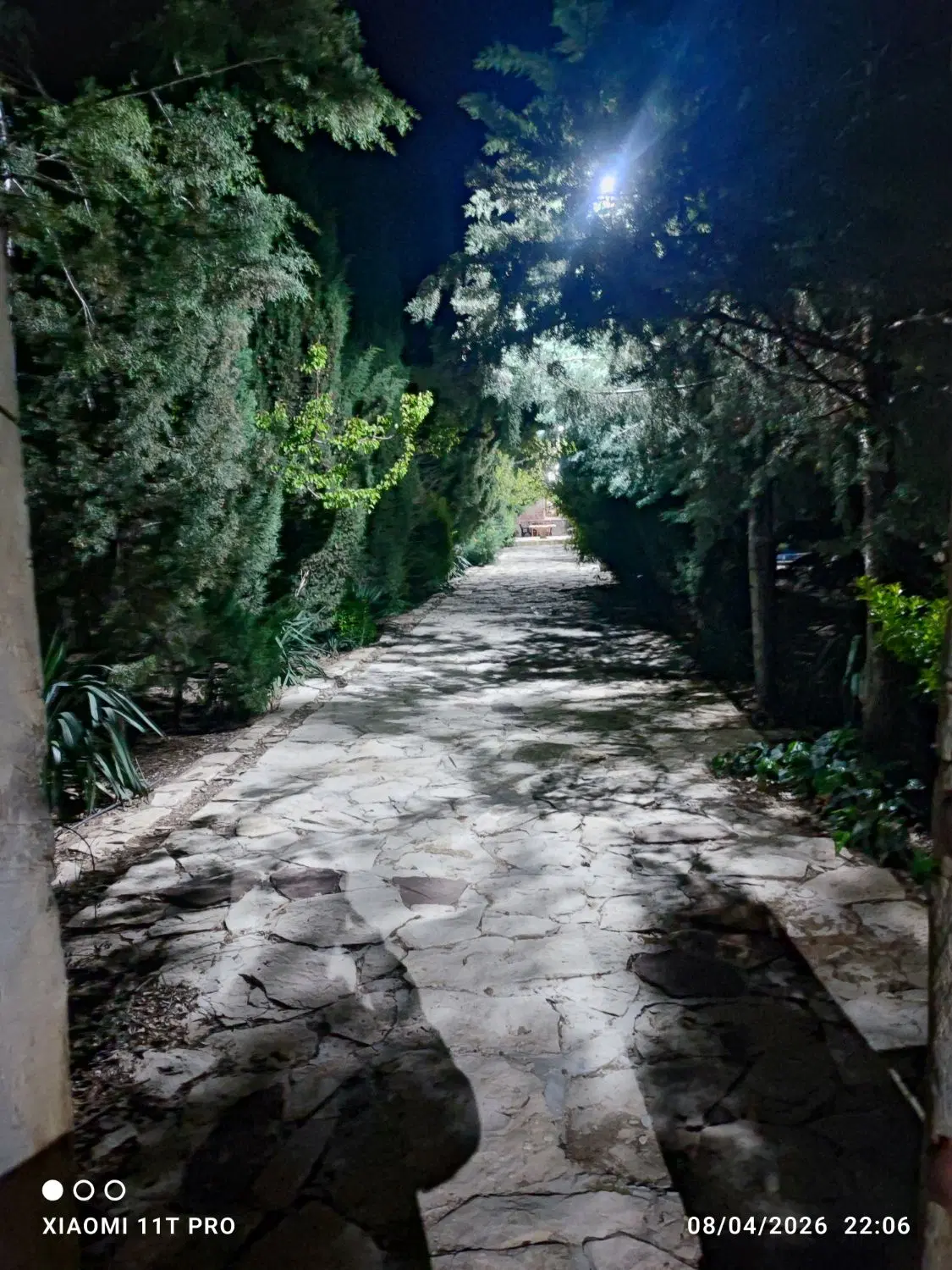 اجاره ویلا باغ