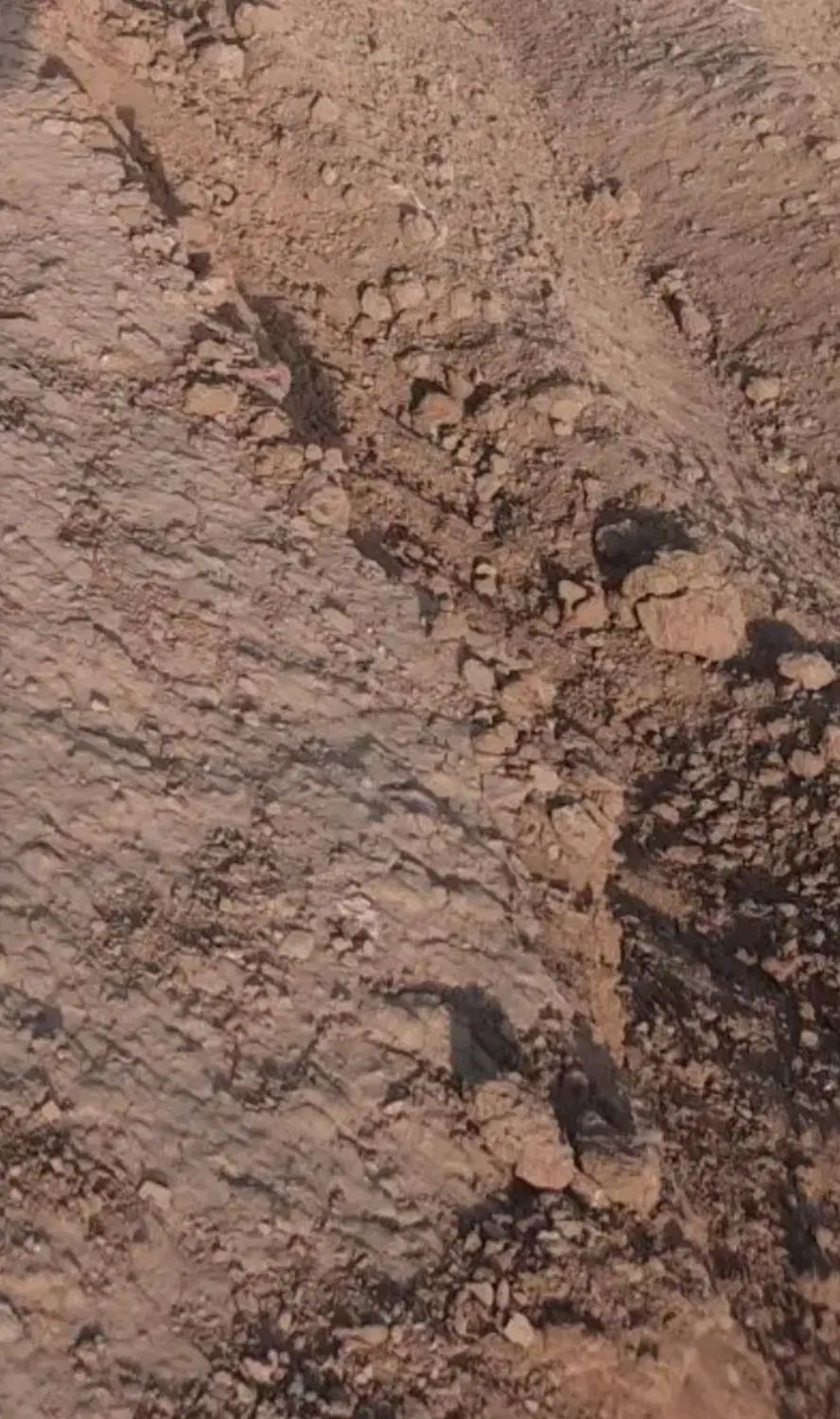 ۱۰۰ متر زمین قلفتی سیدجمالدین ارغوان۳