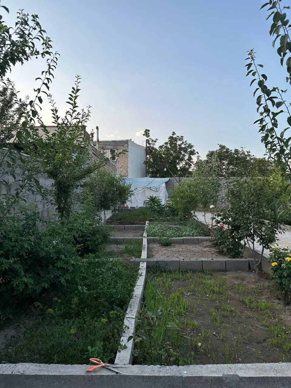 باغ ویلایی داخل محدوده