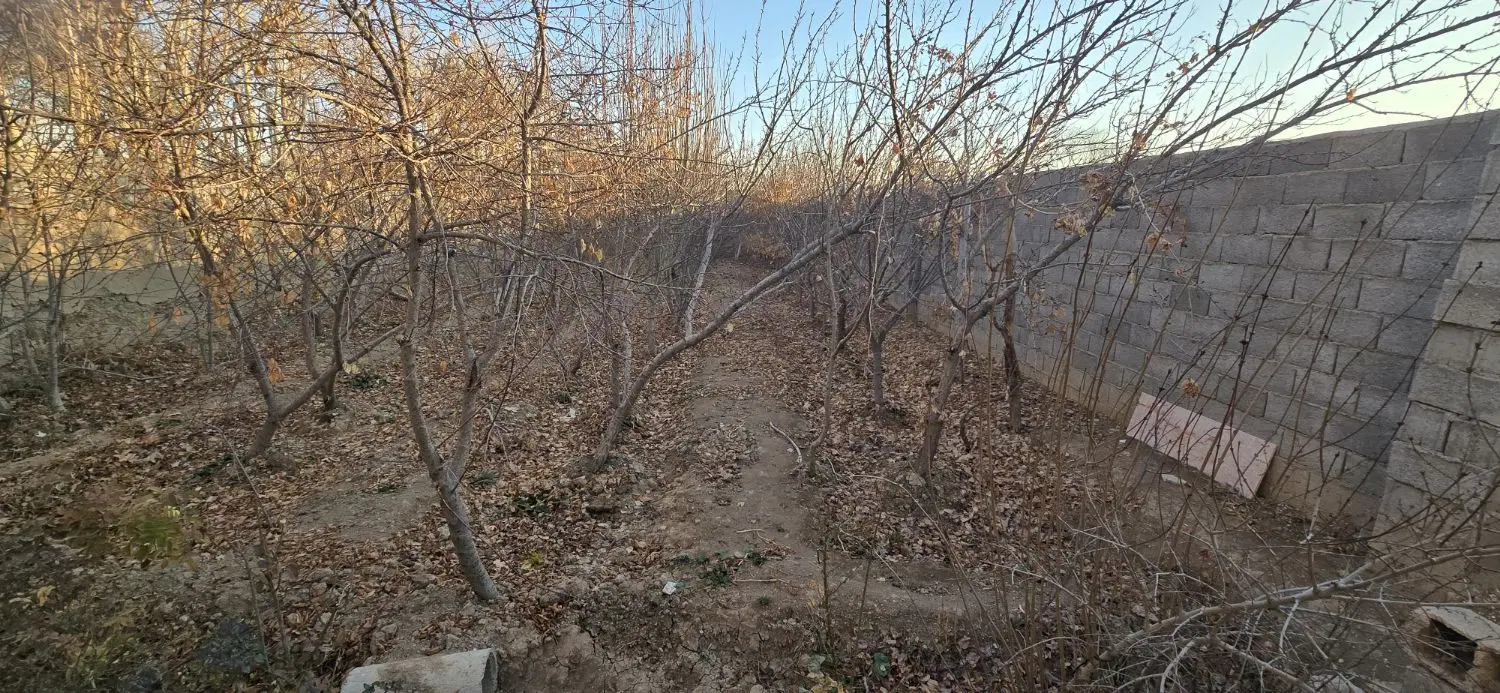 زمین و باغ
