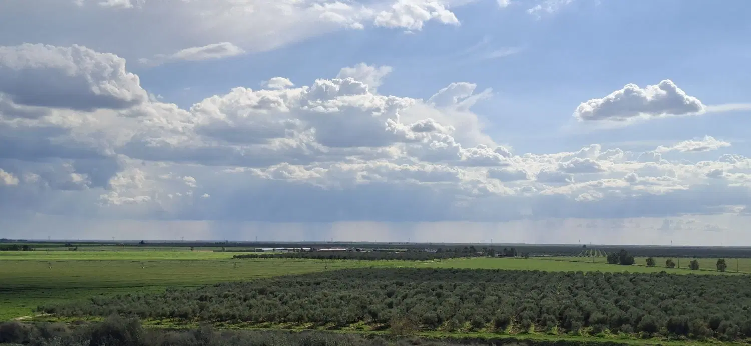 زمین فروشی گدم آباد