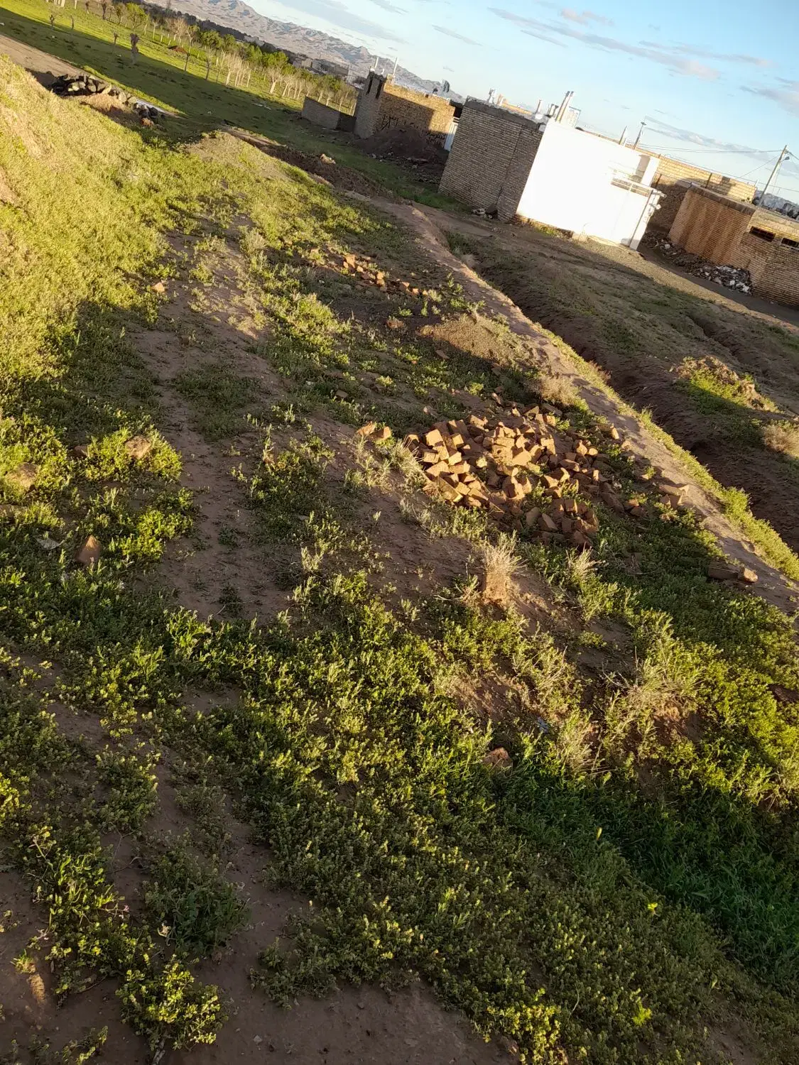 زمین ۲۰۰متر شمالی باهنر ۶۰