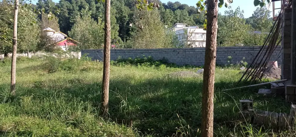 ۵۰۰ متر زمین در روستای زیبای کچاء