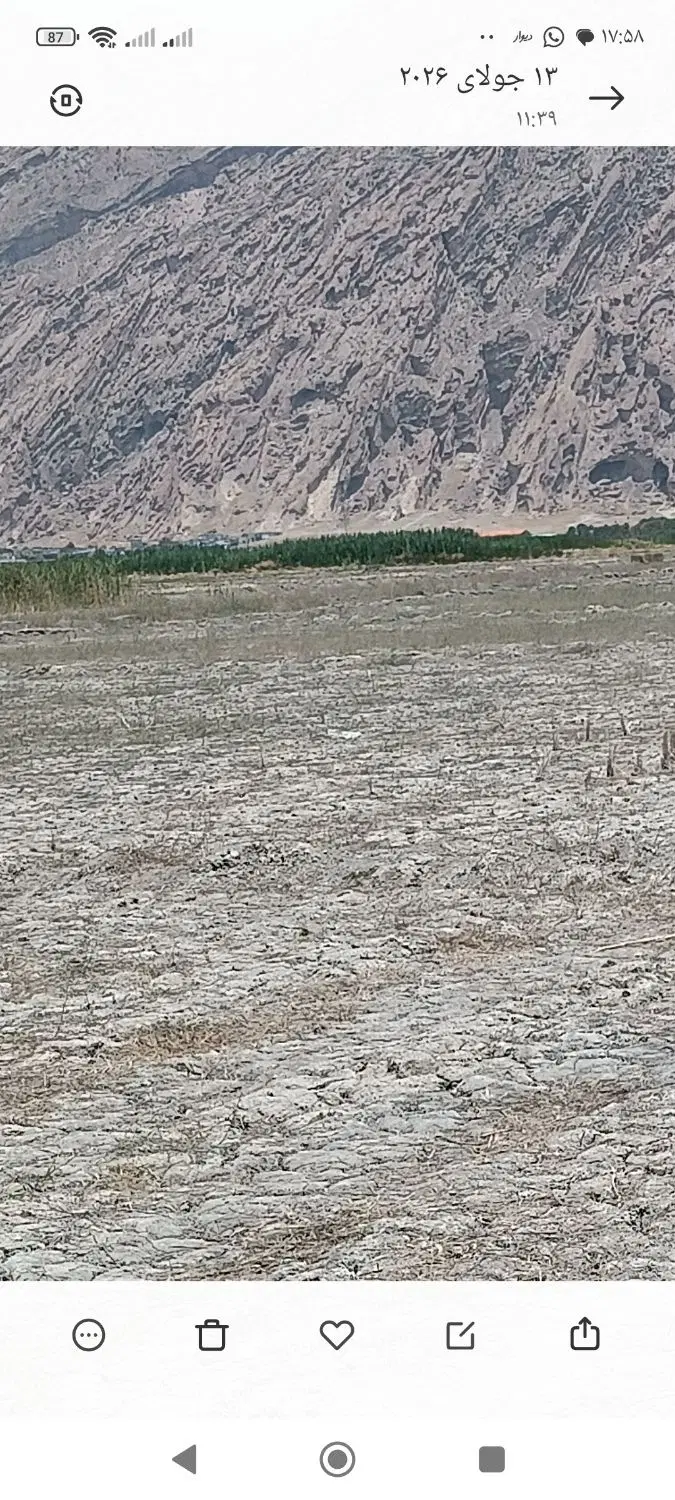 زمین تجاری
