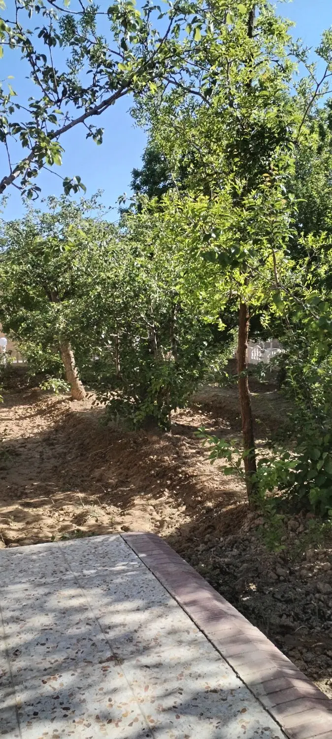 فروش چهاردیواری باغ 650متری