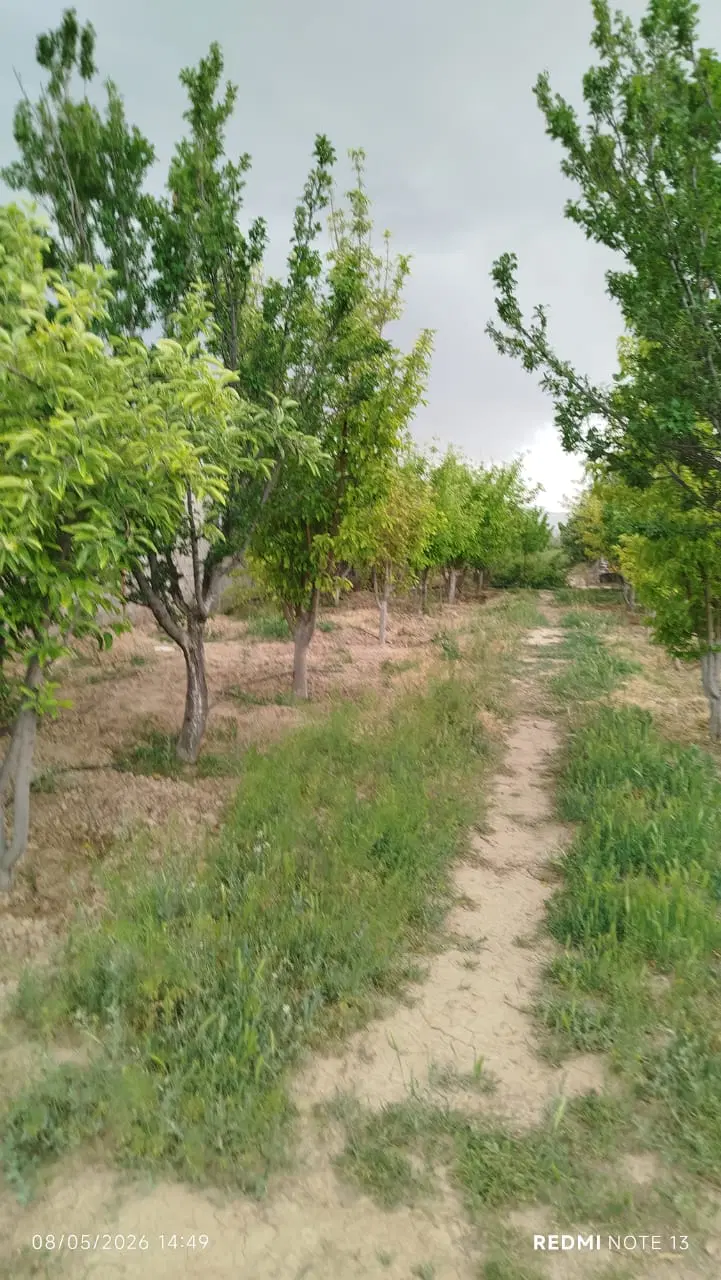 باغ ۲۵۰۰ متری نزدیک تهران-درختان میوه+زعفران+بنا