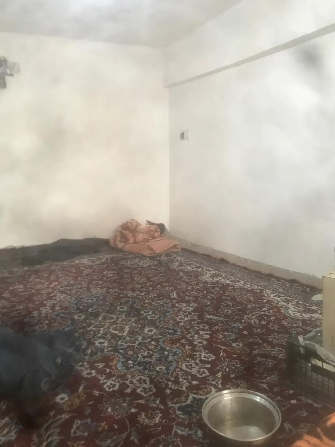 همحونه