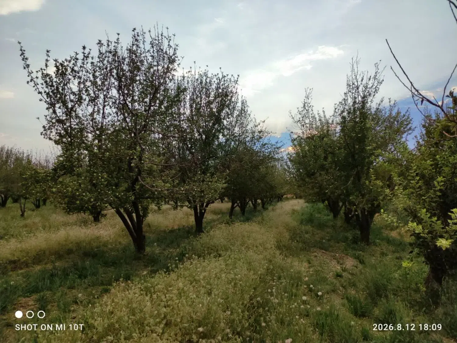 باغ و زمین کشاورزی