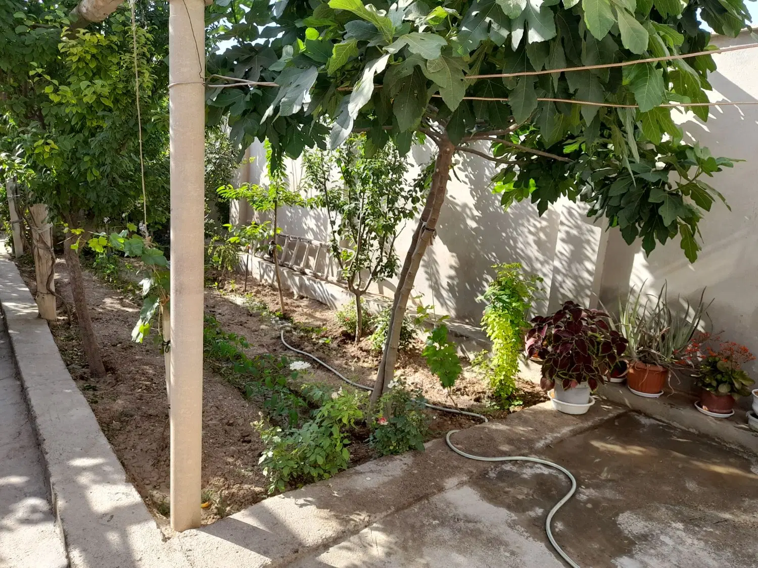 اجاره ویلایی همکف