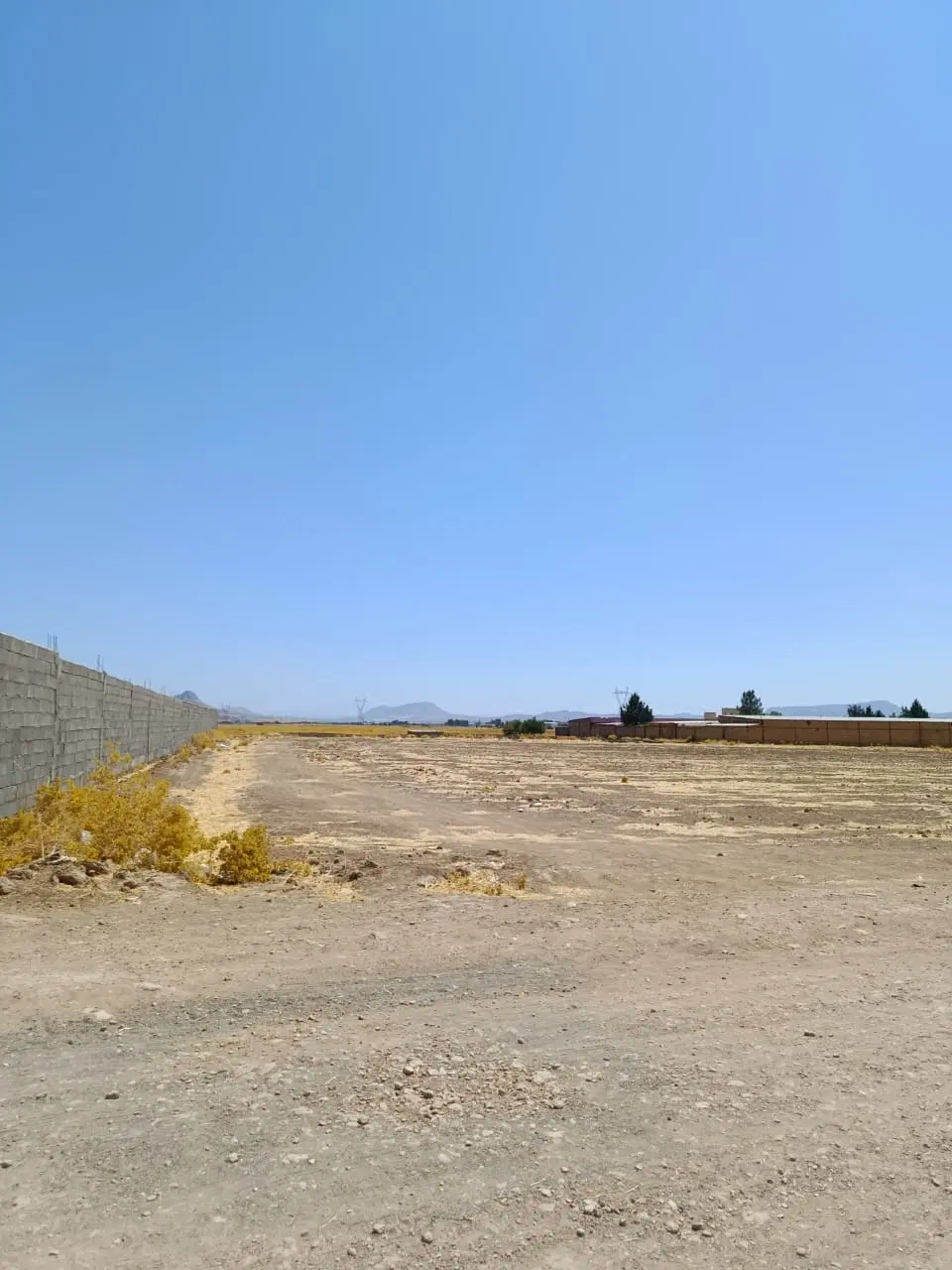 زمین دامداری