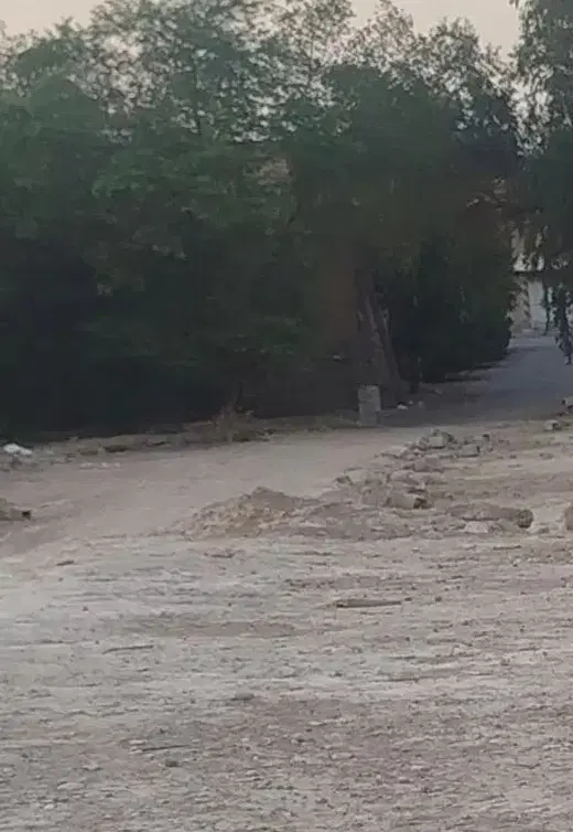 زمین مسکونی