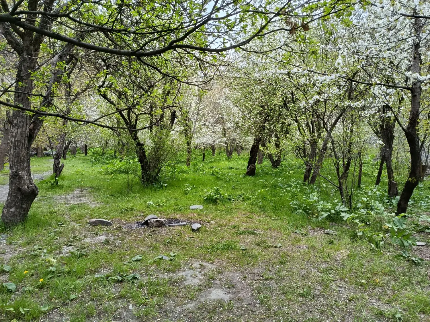 رزمین فروش داخل ارچنگ جای فنس