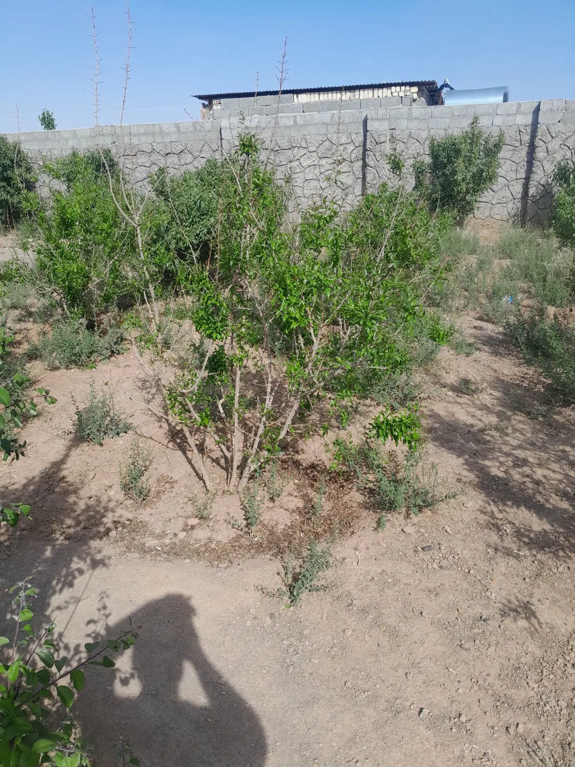 زمین جهاداباد