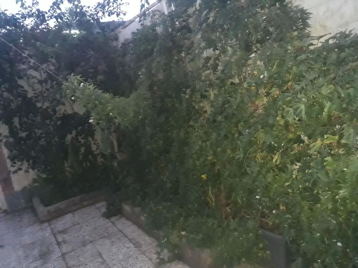فروش واحد همکف ۶۵ متری