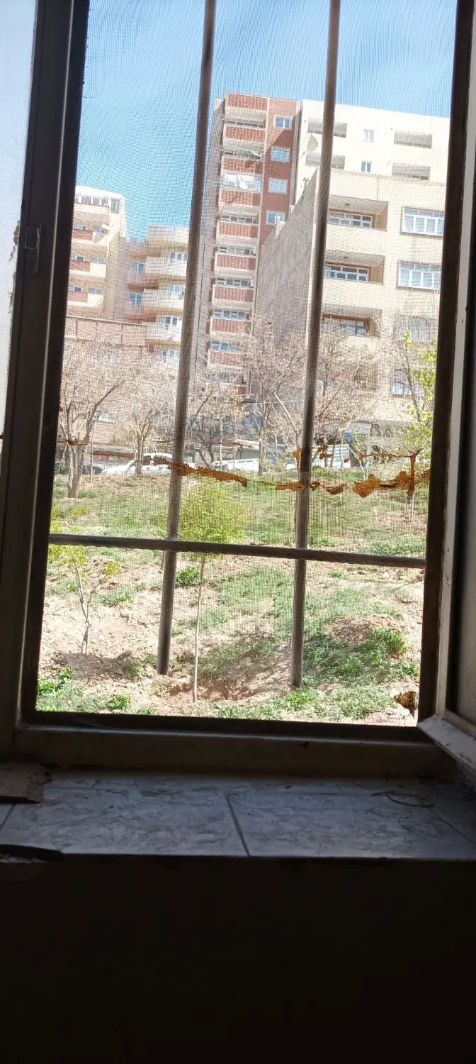 حیاط