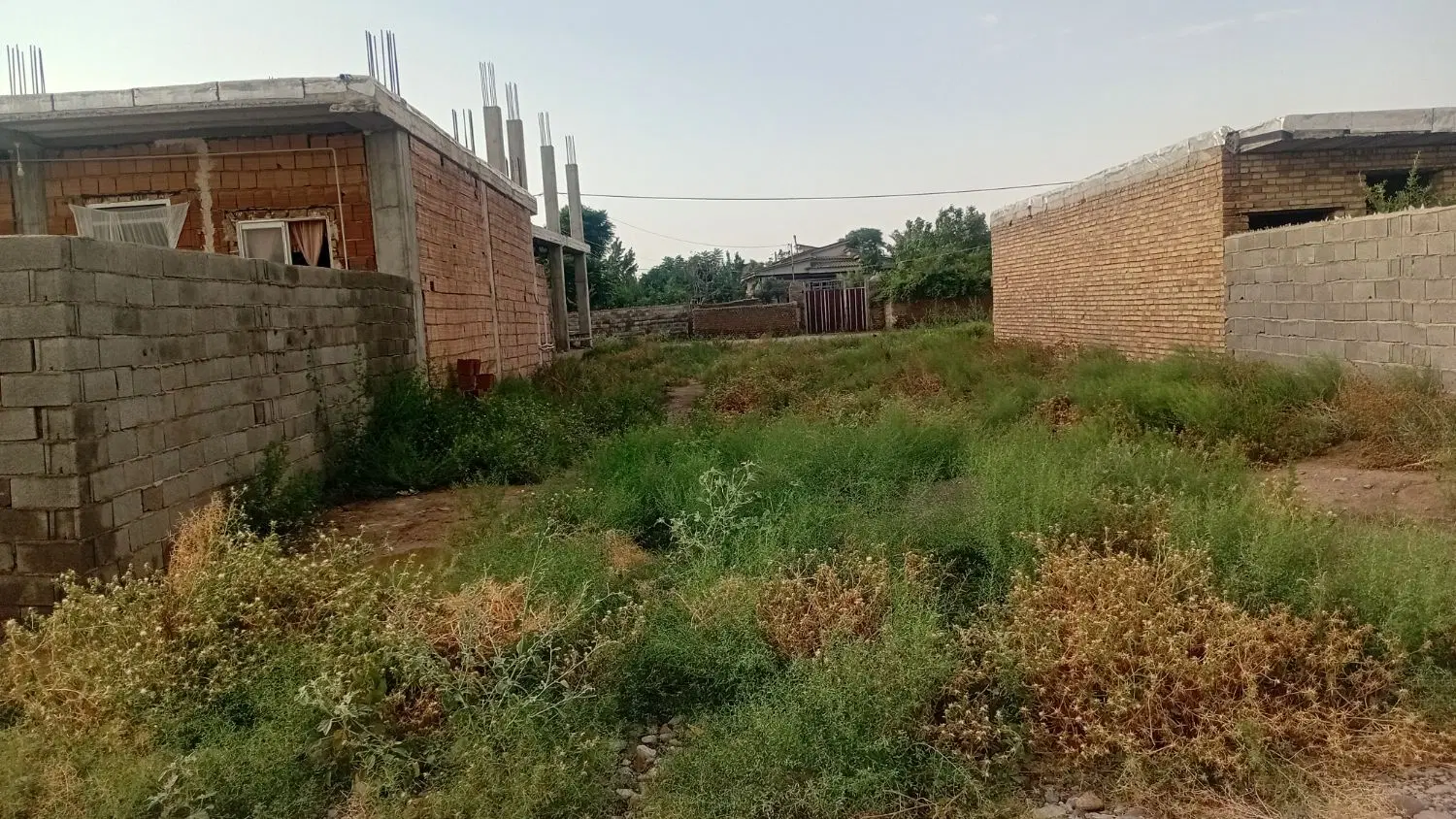 زمین