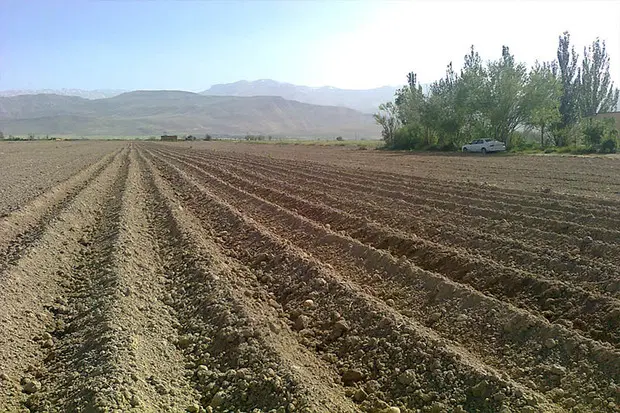 زمین فروشی