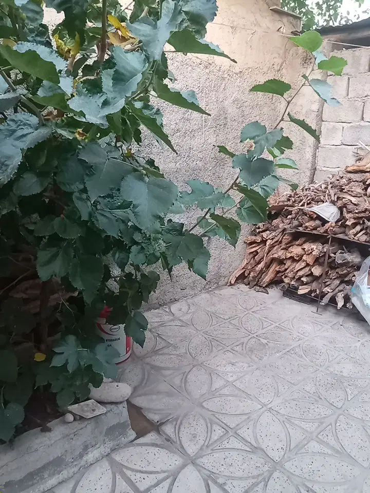 فروش زمین
