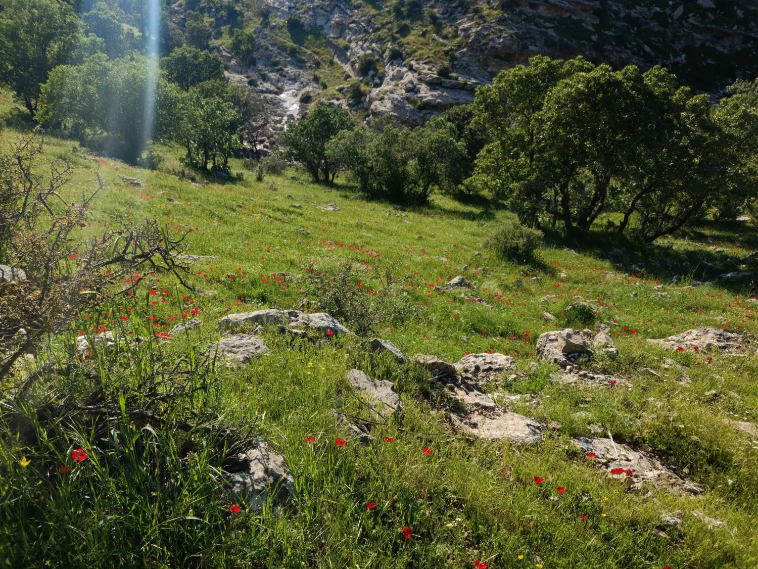 زمین مسکونی شهرک اندیشه