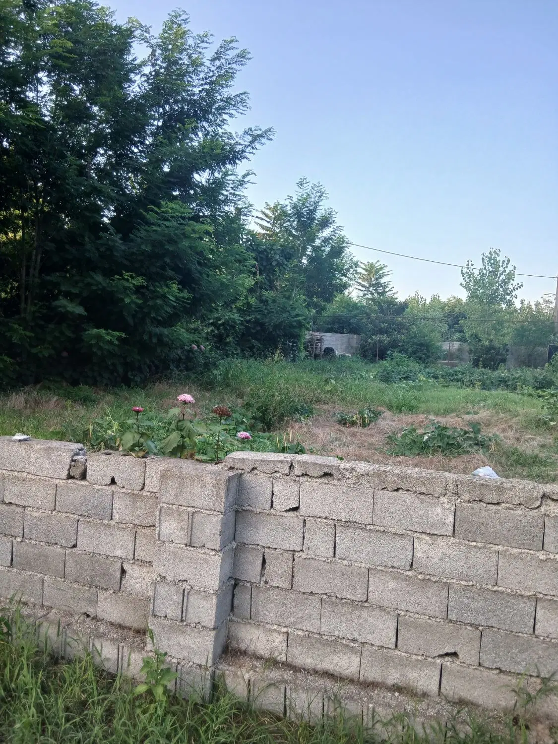 ۲۱۰مترزمین دور دیوار