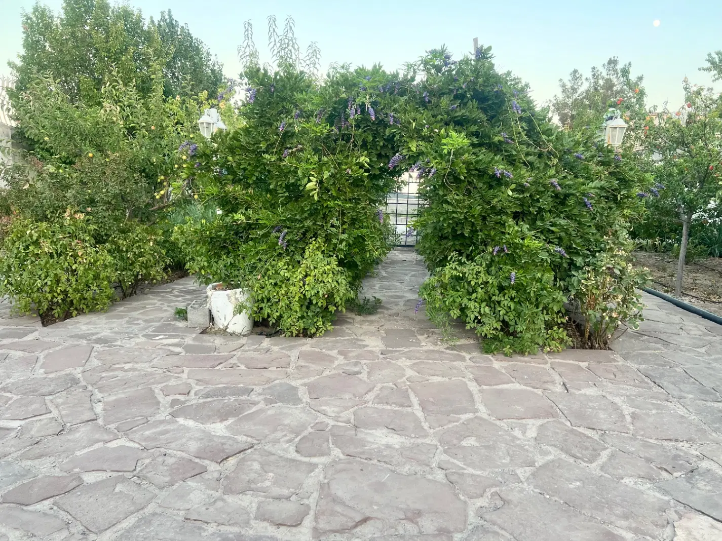 باغ ویلا