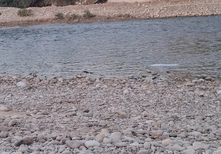 زمین ۲۵۰دستگاه