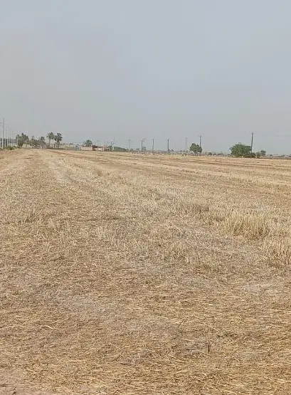 زمین مسکونی