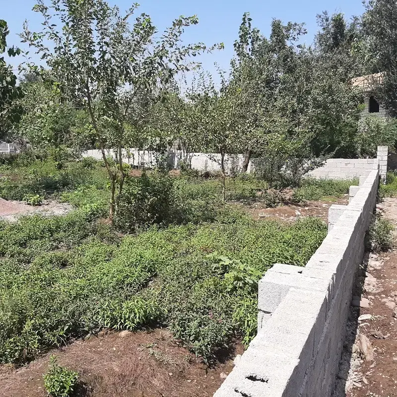 ۶۱۷مترمربع زمین درگلسرک زیر قیمت به دلیل فروش فوری