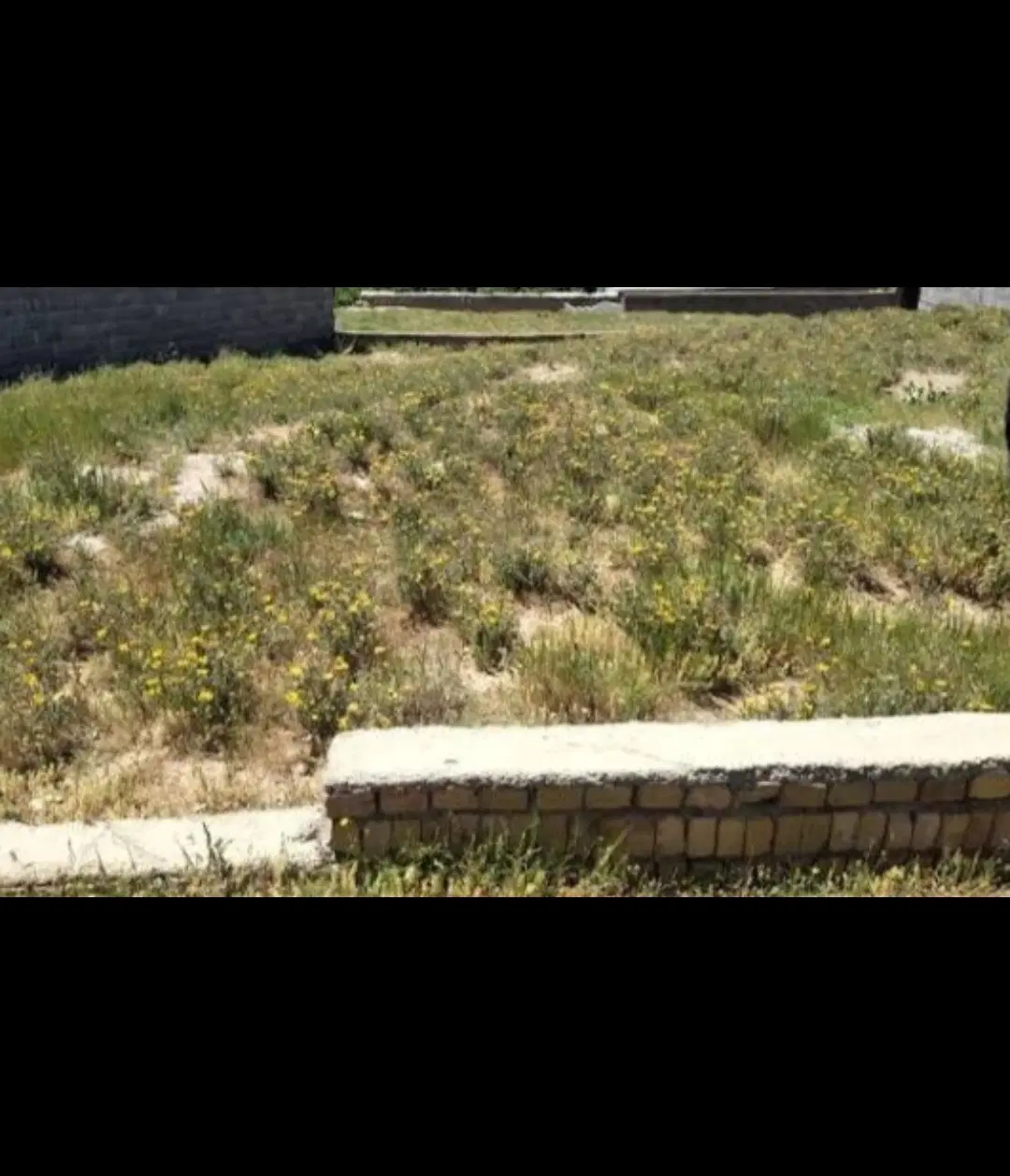 زمین نسق ۱۷۵ متری ابتدای روستا