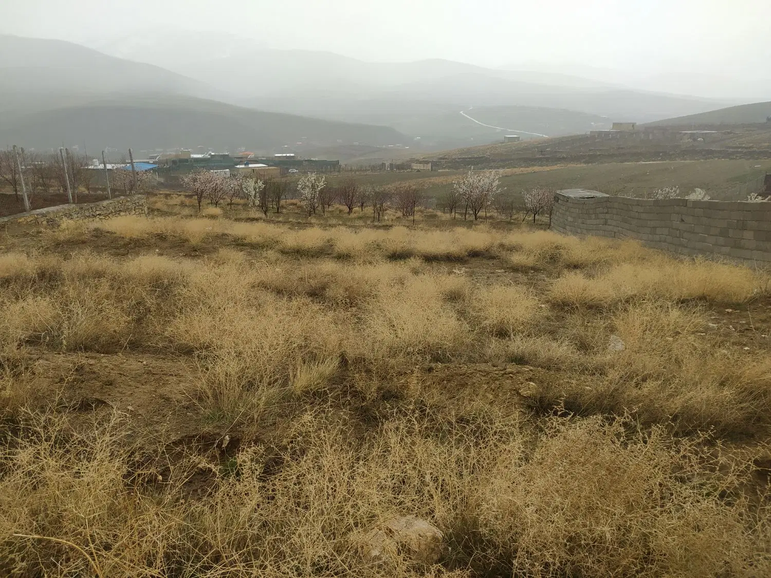 زمین در قشلاق ورکانه
