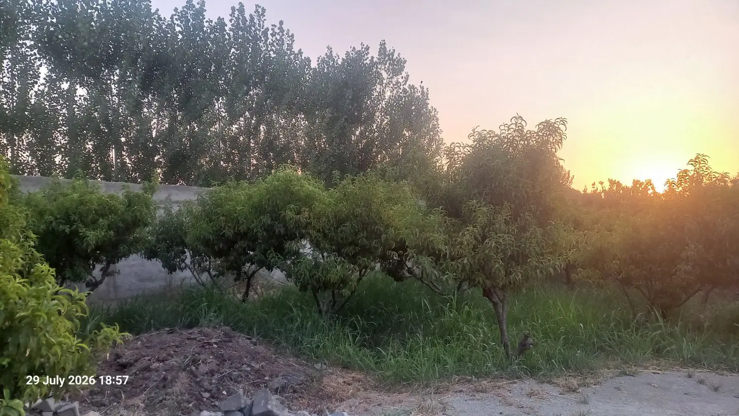 باغچه چهاردیواری شده در ۲ قدمی پایتخت