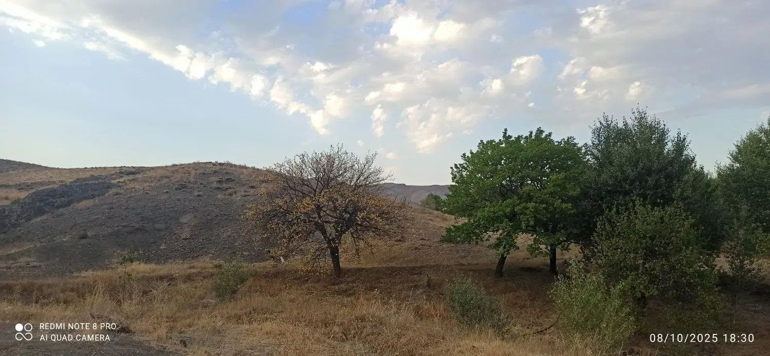 زمین