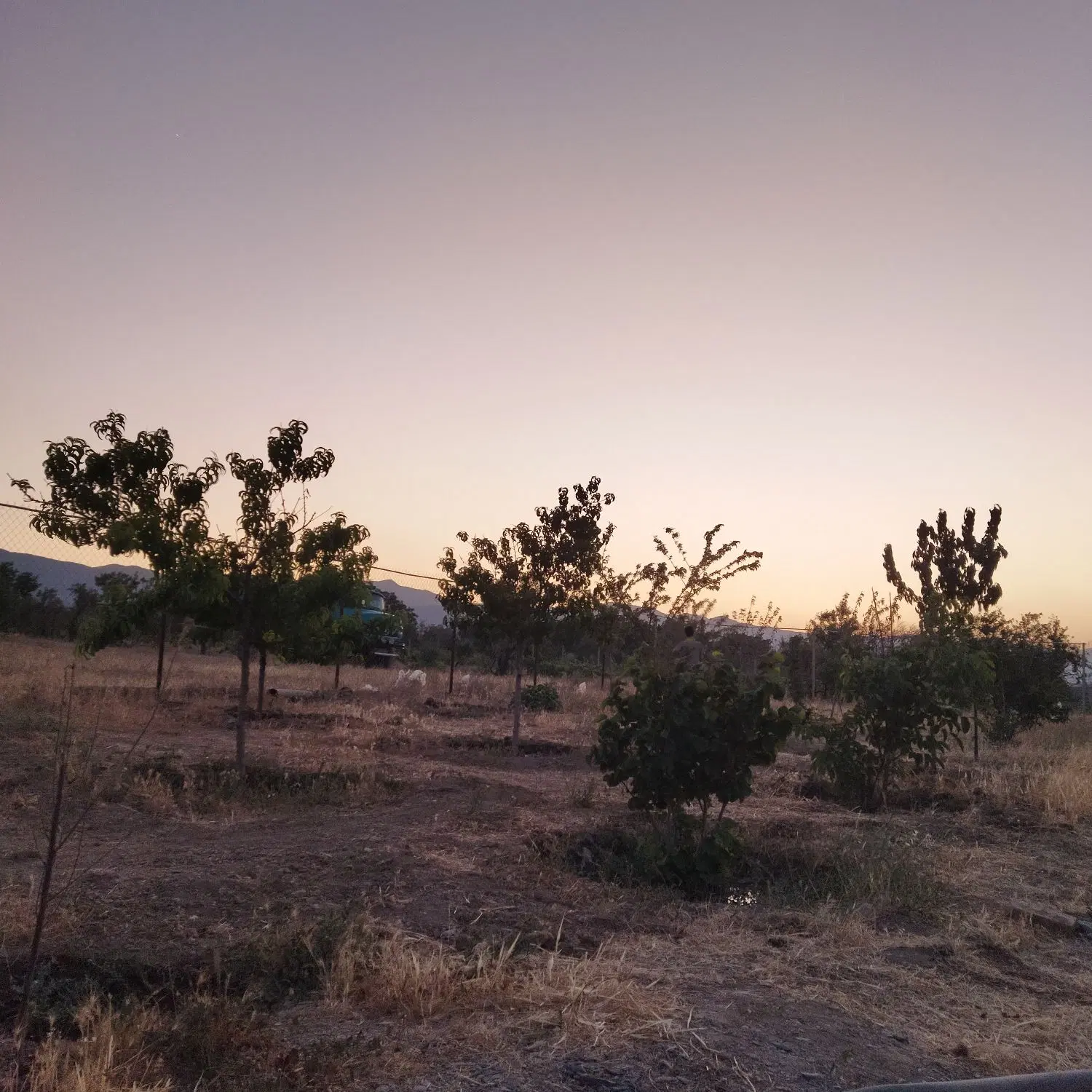 باغ مرزیجران