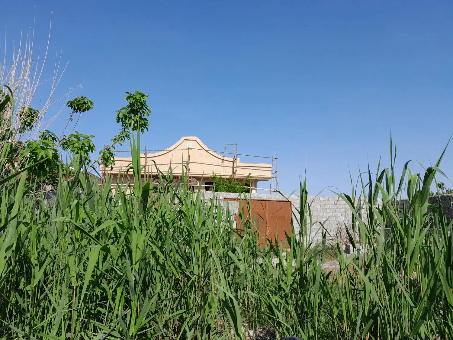 فروش زمین