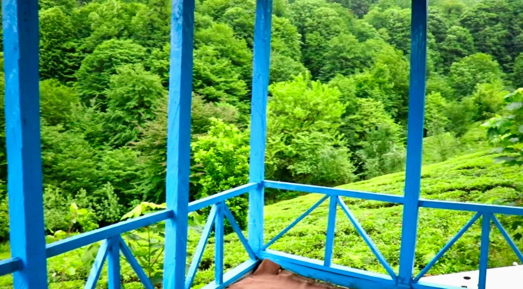 خونه وباغ ویلایی در بالای آبشار وزن بن