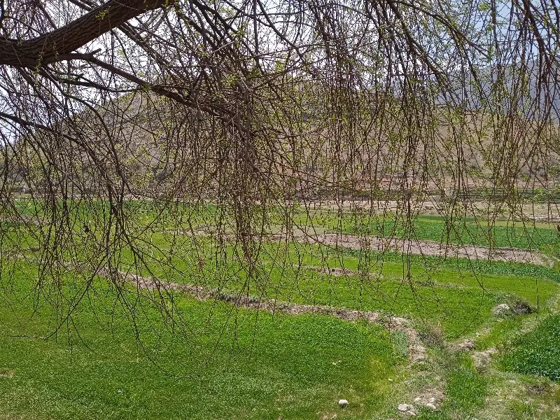 فروش خانه ویلایی