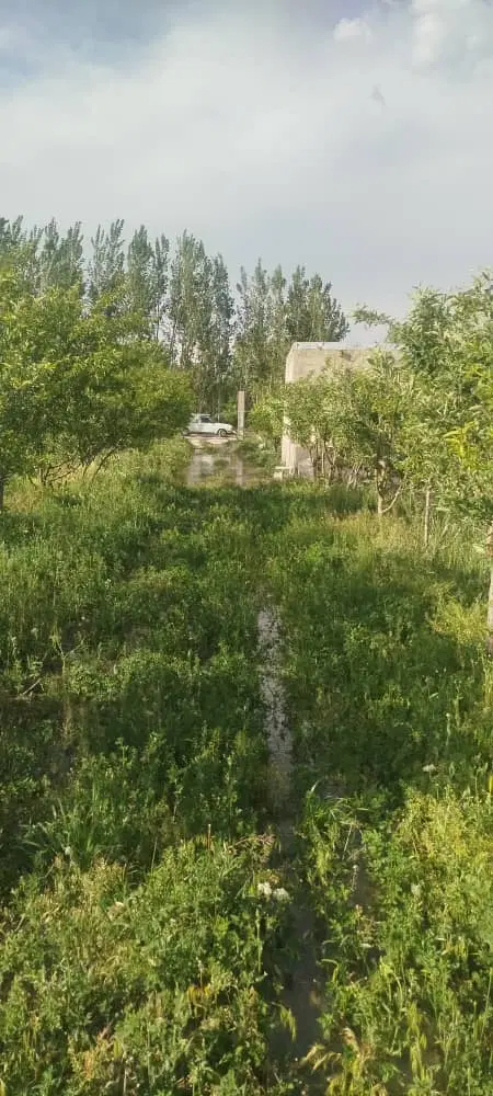 باغ در دهنو سفلی