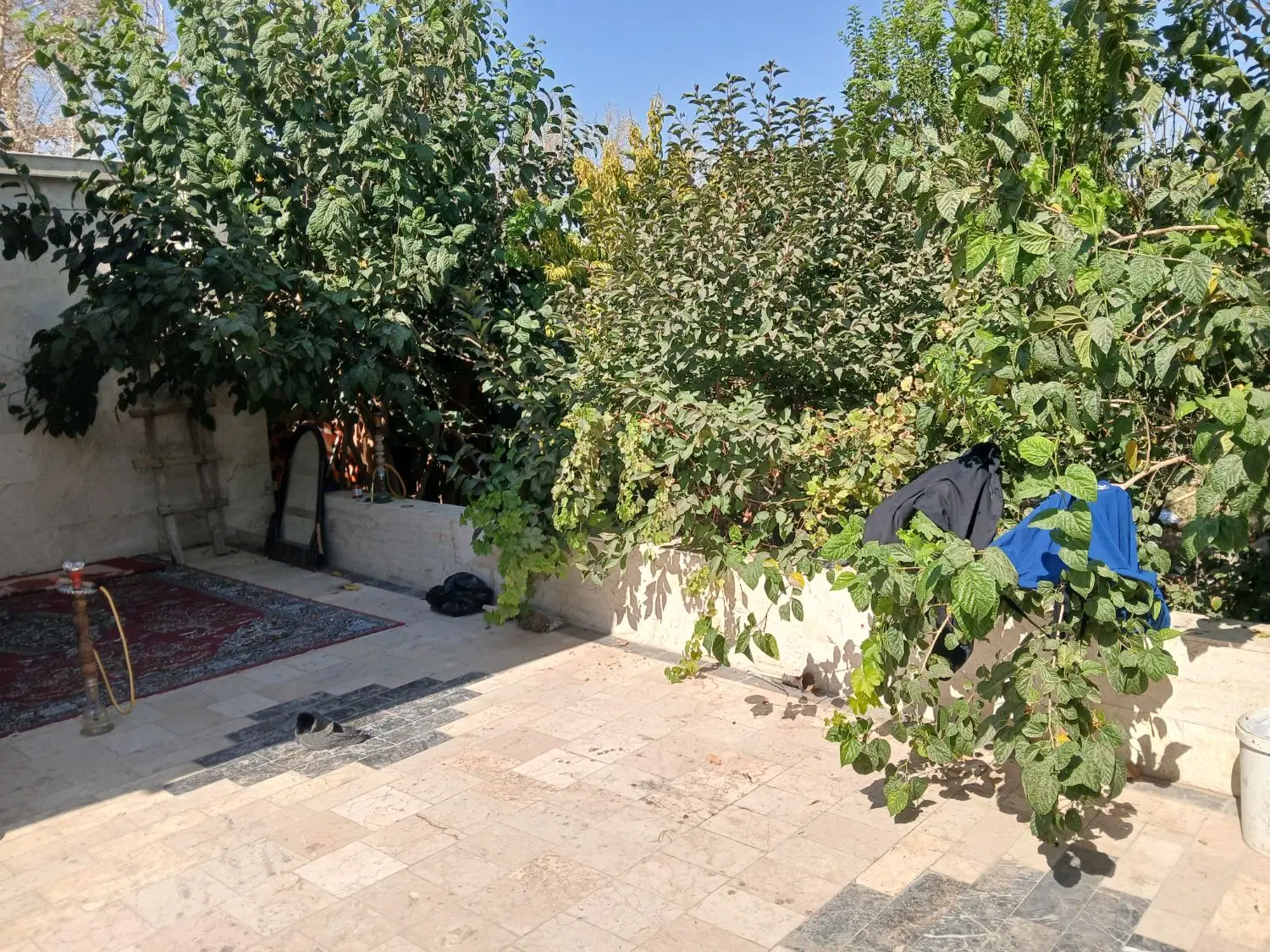 اجاره باغ خمینی شهر خیابان شریعتی