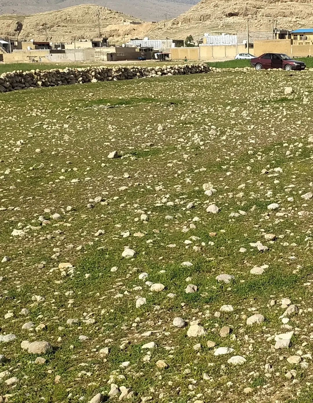 فروش زمین در برگپی