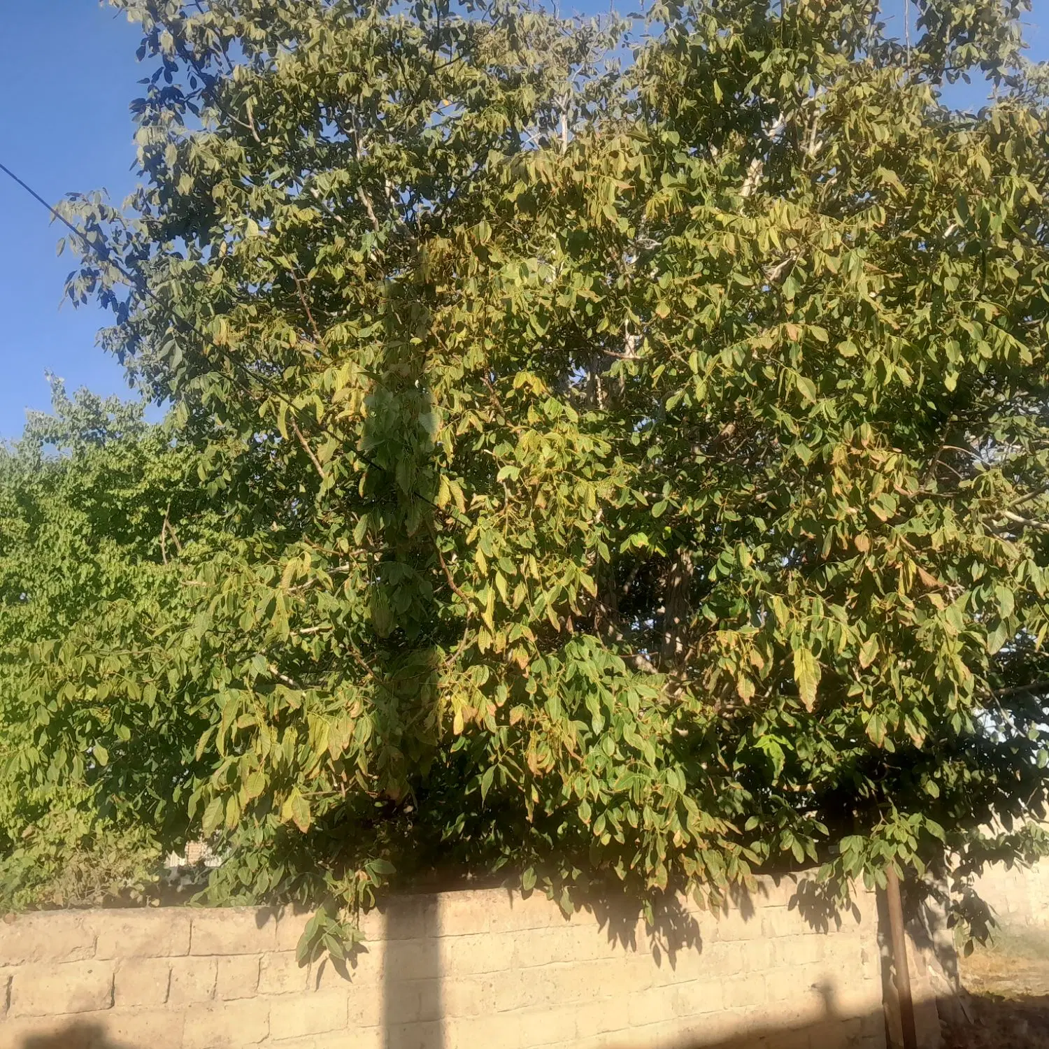 منزل مسکونی