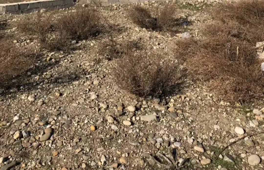 زمین مسکونی
